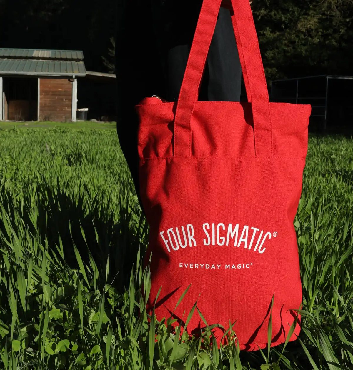 Tote/ Backpack